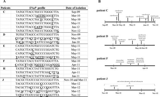 Examples of cystic fibrosis (CF) patients with multiple SNaP profiles: (A) SNaP profile and isolation dates; (B) Antibiotic therapy received by four CF patients (all these patients received azithromycin during the entire described period).