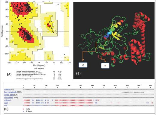 Rv3494c protein structure prediction: (A) Ramachandran plot obtained using Swiss Model software. (B) 3D model of the protein: the β-sheets are drawn as yellow arrows and the helixes are shown in red. The coloured helix (amino acids 12–34) is the transmembrane helix predicted signal peptide. (C) Structural prediction using the Robetta server; a red X indicates the presence of helixes and a blue X the β-sheets.