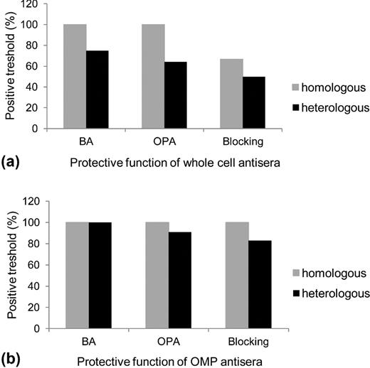 Relationship of antibodies recognizing cross-reactive M. catarrhalis epitopes and their biological functions. BA and OPA refer to complement-dependent bactericidal assay and Opsonophagocytic killing assay, respectively. The positive thresholds of all used pool of antisera for each studied functional assay in reference to homologous and heterologous strains are shown.