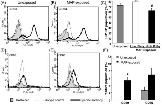 Expression of CD163, CD80 and CD86 by monocytes from unexposed and MAP-exposed cattle. PBMC were isolated from the whole blood of unexposed control (n = 5), MAP-exposed (n = 10) cattle by Ficoll-density gradient separation. The MAP-exposed cattle were selected based on either low blood IFN-γ responses (n = 5) or high IFN-γ responses (n = 5). CD14+ selection by the MACS® isolation system was used to separate the monocytic population. Staining for M2 macrophage marker CD163 is shown in panels A, B and C and costimulatory molecules, CD80 and CD86, are shown in panels D, E and F. Representative flow cytometry profiles are shown for CD163 expression by monocytes from unexposed (A) and MAP-exposed (B) cattle and CD80 expression by monocytes from unexposed (D) and MAP-exposed (E) cattle. The shaded histogram is the unstained population, the dotted line is the staining for the isotype control and the thick black line is the population staining for the specific antibody. CD86 profiles are not shown but there was a similar population profile as seen for CD80. Panels C and F show combined surface molecular staining data for monocytes from all unexposed and MAP-exposed cattle. Data are the mean positive population (%) plus standard error of the mean for replicate stained wells of monocytes from 5 control unexposed and 10 MAP-exposed cattle; for CD163 these were divided into low and high IFN-γ responder subgroups. Gating of the positive population was based on the isotype control antibody staining. Hash denotes a significant decrease (P ≤ 0.05) in CD163 expression MAP-exposed cattle with high and low IFN- γ responses. Asterisk denotes a significant increase (P ≤ 0.05) in the CD80 expression in monocytes from the MAP-exposed cattle in comparison with the unexposed control animals.