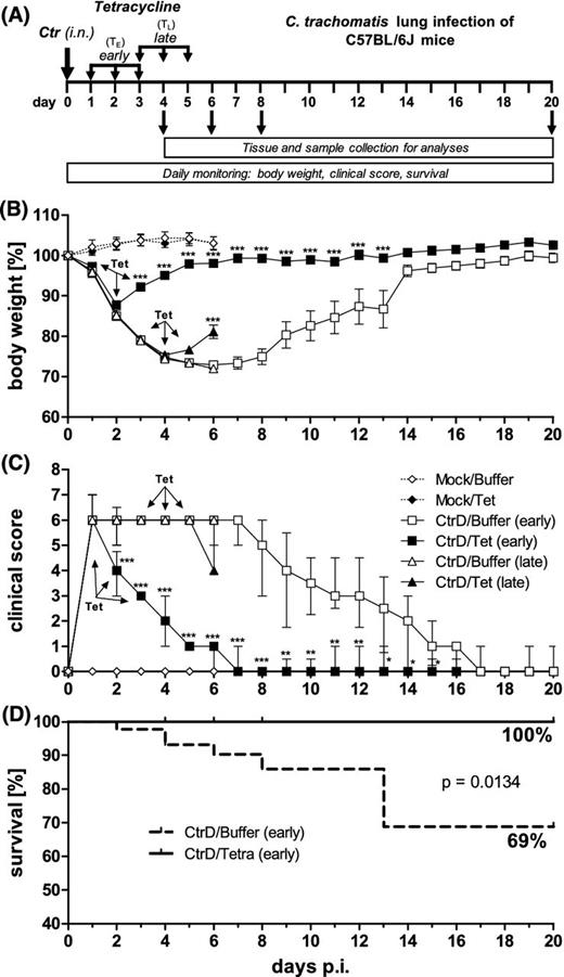 Experimental design, body weight, clinical score and survival rate of C57BL/6J mice after lung infection with C. trachomatis serovar D. (A) Mice were intranasally (i.n.) infected with 4 × 106 IFU of C. trachomatis (Ctr) or mock material and subsequently monitored for up to 20 days. The early tetracycline (Tet) treatment (TE) was applied once a day on days 1–3 after infection. The late tetracycline treatment (TL) was applied on days 3–5 after infection. In this experiment 20 mg kg−1 tetracycline i.p. were used. Control groups received buffer solution instead (NaCl). Infected early-treated mice and corresponding control animals were euthanized on days 4, 6, 8 and 20 p.i. Infected late-treated and corresponding infected control mice as well as the mock-treated mice were euthanized on day 6 p.i. (B) Body weight loss of the different groups is depicted as means ± standard errors of the means. (C) Clinical score, composed of parameters such as pilo-erection, body posture, locomotion, breathing, dehydration, attention/curiosity and secretion from nose and eyes. Score values are depicted as medians ± interquartile ranges. (D) Comparison of the survival rate of the CtrD/Buffer (early) and CtrD/Tet (early) groups. Asterisks indicate statistical significances: *P = 0.05; **P = 0.01; ***P = 0.001.