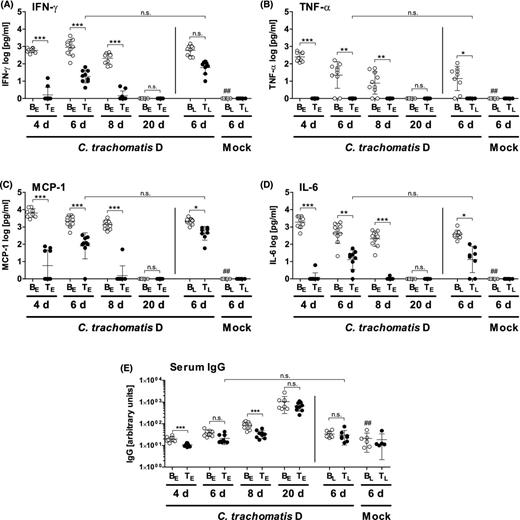 Concentrations of the cytokines IFN-γ (A), TNF-α (B), MCP-1 (C) and IL-6 (D) in lung homogenates and C. trachomatis-specific IgG titer in serum (E). A dosage of 20 mg kg−1 body weight of tetracycline was applied i.p.. The cytokines were determined by the Mouse Inflammation Cytometric Bead Array. Levels of IL-10 and IL-12 p70 were below the LOD (data not shown). Means ± standard deviations are depicted. Abbreviations: BE: Buffer (early treatment); BL: Buffer (late treatment); TE: Tetracycline (early treatment): TL: Tetracycline (late treatment); groups were analyzed at different time points: 4, 6, 8 or 20 days p.i. Asterisks and hashtags indicate statistical significances: (A–D) *P = 0.05; **P = 0.01; ***P = 0.001; n.s. = not significant; ##P = 0.01 (difference Mock/Buffer (late) versus CtrD/Buffer (late). (E) In order to show an effect due to chlamydial infection, the Mock/Buffer (late) group was compared with the CtrD/Buffer (early) group from day 20 and not, as in other analyses, with the CtrD/Buffer (late) group. The latter group was already sacrificed on day 6 p.i. and at this time point, almost no IgG response can be expected, yet.