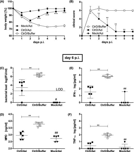 Oral treatment with a single dose of azithromycin. C57BL/6J mice were intranasally (i.n.) infected with 8 × 106 IFU of C. trachomatis D or mock material (Mock) and subsequently monitored until they were euthanized on day 6 p.i. Azithromycin (Azi; 80 mg kg−1 body weight) or buffer (1% sucrose solution) were applied as a single dose on day 1 p.i. (A) Body weight of the different groups is depicted as means ± standard errors of the means. (B) Clinical score values are depicted as medians ± interquartile ranges. (C) The number of IFU recovered from lung homogenates on day 6 p.i. is depicted as means ± standard deviation. The LOD is indicated by the dashed line. (D) Concentration of the granulocyte marker enzyme MPO determined by ELISA. Means ± standard deviations are depicted. (F) Concentrations of the key cytokines IFN-γ, and (E) TNF-α in lung homogenates determined by ELISA (means ± standard deviation). Asterisks and hashtags indicate statistical significances: */#P = 0.05; **/##P = 0.01; ***/###P = 0.001.