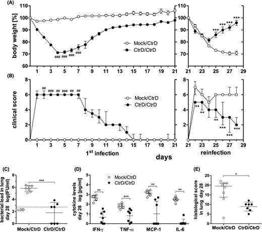 Lung reinfection of C57BL/6J mice with C. trachomatis serovar D. Mice were infected with 8 × 106 IFU of a new preparation of chlamydia (CtrD) or mock material (Mock)—left panels in (A) and (B). On day 21, all mice were (re)infected with the identical amount of chlamydia and monitored for additional 7 days until day 28—right panels in (A) and (B). (A) Body weight of the two groups (CtrD/CtrD and Mock/CtrD) was calculated for each animal as percentage in relation to its weight on the day of first infection (day 0), or reinfection (day 21), respectively. The weight is depicted as means ± standard errors of the means. (B) Clinical score values are depicted as medians ± interquartile ranges. Asterisks indicate statistical significances comparing the CtrD/CtrD with the Mock/CtrD group from day 21 to 28: *P = 0.05; **P = 0.01; ***P = 0.001. Hashtags indicate statistical significances comparing the first seven days after primary infection with the first seven days after reinfection within the CtrD/CtrD group, only: #P = 0.05; ##P = 0.01; ###P = 0.001. (C) Chlamydial load in the lung of the CtrD/CtrD and Mock/CtrD mice on day 28. The LOD is indicated by the dashed line. In the mock-infected control, no chlamydia could be detected (data not shown). (D) The cytokines IFN-γ, TNF-α, MCP-1 and IL-6 in lung homogenates on day 28 determined by Mouse Inflammation Cytometric Bead Array. (E) Histopathological score of lung inflammation. Medians ± interquartile ranges are depicted. Asterisks indicate statistical significances: **P = 0.01; ***P = 0.001.