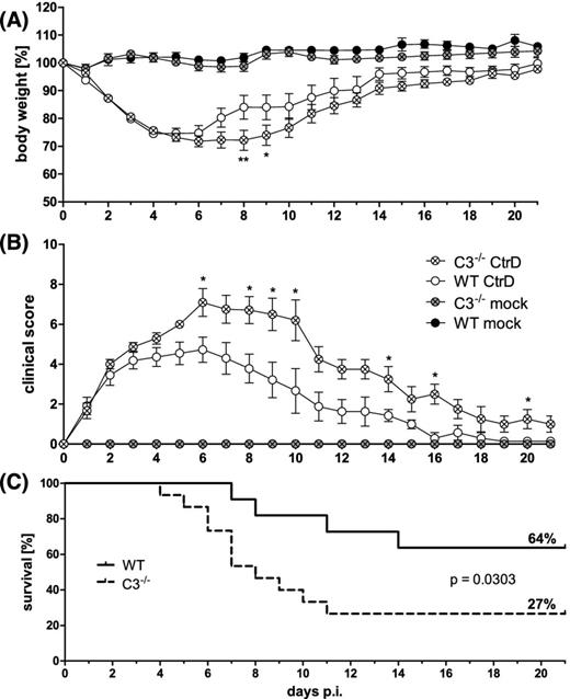 Lung infection of complement factor C3−/− and C57BL/6J wild-type mice with C. trachomatis serovar D. Female mice were infected with 2 × 106 IFU of C. trachomatis D (CtrD) or mock material (Mock), and observed for 21 days. (A) Body weight is depicted as means ± standard errors of the means. (B) Clinical score values are depicted as medians ± interquartile ranges. (C) Comparison of the survival rate of C3−/− and C57BL/6J mice. Asterisks indicate statistical significances between the infected groups: *P = 0.05; **P = 0.01.