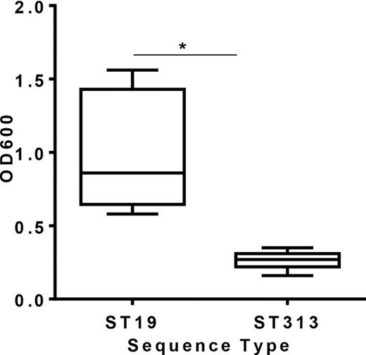 Biofilm production of 5 Salmonella Typhimurium ST19 and 11 ST313 strains as measured by crystal violet binding. Data are expressed as a box and whisker plot with whiskers representing the minimum and maximum value. The assay is representative of three independent experiments carried out in triplicates. Asterisk represents P < 0.05.
