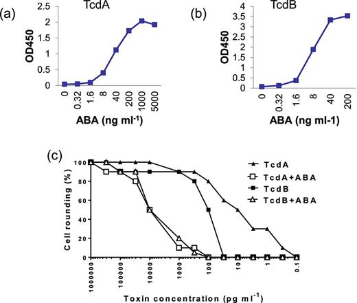 ABA binding and neutralizing activities. Serially diluted ABA (ng ml−1) was added to microplate wells coated with TcdA (a) or TcdB (b). The binding of ABA to the toxins was determined by an HRP-conjugated anti-E-tag antibody. (c) Serially diluted TcdA or TcdB mixed with or without 1 μg ml−1 of ABA was added to mRG1 monolayers in a 96-well plate. The cell rounding was examined under a phase-contrast microscope after 24 h incubation.