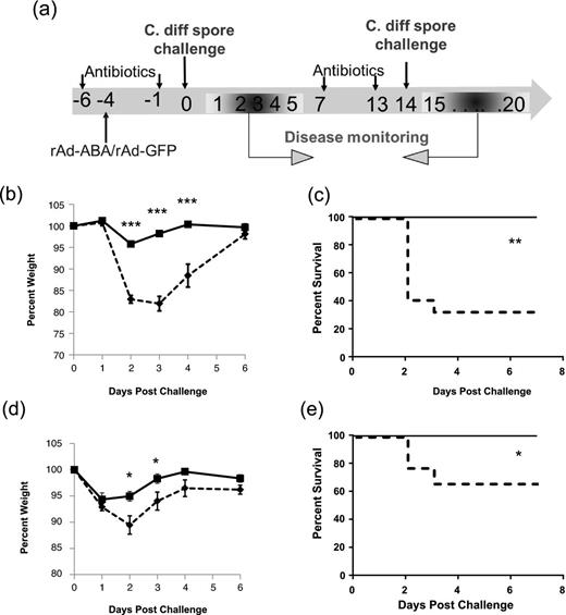 rAd-ABA protection of mice against primary and recurrent CDI. (a) rAd-GFP (1010 PFU, dashed lines) or rAd-ABA (1010 PFU, solid lines) was i.v. administered during antibiotic treatment. Four days later, mice were challenged with 105 PFU of C. difficile UK1 spores. Mouse weight loss (b) and survival (c) were monitored and are plotted. All surviving mice from rAd-GFP groups (9 mice) and 11 surviving mice from rAd-ABA groups were treated with another episode of antibiotic cocktail and then rechallenged with 105 PFU of C. difficile UK1 spores 14 days after the initial challenge (a). Mouse weight loss (d) and survival (e) were monitored and are plotted. Error bars show standard errors of mean (SEM). *P < 0.05, **P < 0.01 and ***P < 0.001.