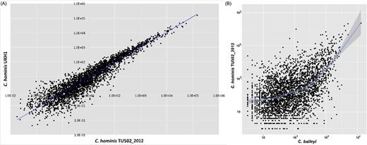 Gene expression in Cryptosporidium oocysts is correlated within and between species. (A) Correlation in oocyst gene expression is highly correlated between two isolates of C. hominis (r2 â¼ 96%). (B) Correlation in oocyst gene expression is correlated between C. hominis and C. baylei (r2 â¼ 51%), particularly among the most highly expressed genes.