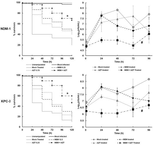 Effect of treatment with combinations of AZT and MEM on the survival and internal bacterial burden of G. mellonella larvae infected with K. pneumoniae strains. Larvae were infected with PBS (mock ‘infected’), K. pneumoniae NCTC 13443 (NDM-1) − 5.6 × 105 cells, or NCTC 13438 (KPC-3) − 9.1 × 107 cells and treated with either PBS (mock ‘treated’), or a single dose of each drug individually, or a combination of MEM and AZT at 2 h p.i. (dose in mg/kg is the number shown on the figure). Larvae were incubated at 37°C for 120 h and survival recorded every 24 h. The larval burden of K. pneumoniae was determined from five individual larvae per treatment group every 24 h for 96 h at 37°C. Error bars indicate ± SEM. * combination treatment group with significantly enhanced survival compared with any of the constituent monotherapies (P < 0.05, log-rank test with Holm's correction for multiple comparisons). n = 30 (pooled from duplicate experiments). # significant difference in larval burden between groups treated with the combination of AZT + MEM compared with each monotherapy (P < 0.05, the Mann–Whitney U-test compared the combination therapy with each monotherapy). n = 5.