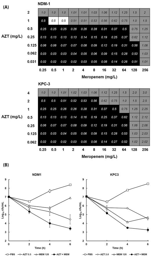 The effect of combination of AZT with MEM on the growth and viability of K. pneumoniae NCTC 13443 (NDM-1) or NCTC 13438 (KPC-3) in vitro. Fractional inhibitory concentration indices (FICI) of AZT combined with MEM versus NDM-1 and KPC-3 after 24 h in MHB at 37°C (A). Black squares indicate FICI values where bacterial growth occurred. Grey squares indicate wells where the FICI values were ≥0.5 (indicating inhibition was not synergistic). White squares show FICI values of 0.5 or less where bacterial growth was inhibited and thus indicate synergistic inhibition of growth. The experiment was performed in duplicate and a representative result is shown. Time-kill curves of the effect of 6 h exposure to PBS or MIC50 of; MEM alone (128 mg/L for both NDM-1 and KPC-3); AZT alone (0.5 mg/L NDM-1 and 2 mg/L KPC-3) or AZT + MEM (NDM-1 − 128 mg/L MEM + 0.5 mg/L AZT; KPC-3 − 128mg/L MEM + 2 mg/L AZT). Error bars indicate ± SEM from duplicate experiments (B).