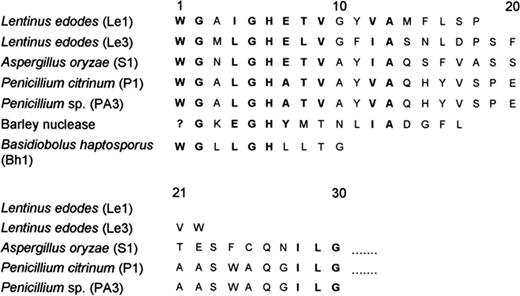 Comparison of N-terminal amino acid sequence of single-strand-specific nucleases.
