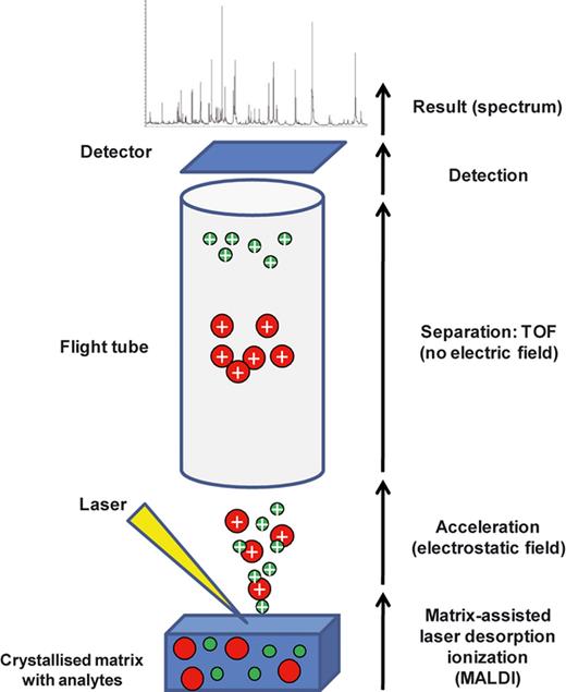 Maldi-Tof-Mass Spectrometry Applications In Clinical Microbiology at ...