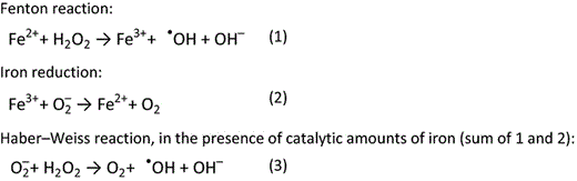 The Fenton and Haber–Weiss reaction. Ferrous iron generates the hydroxyl radical and hydroxyl ion from hydrogen peroxide (1). The superoxide radical (to be formed from dioxygen) can then reduce ferric iron back to the ferrous form (2). The sum of both reactions is therefore described as the formation of molecular oxygen, hydroxyl radicals and hydroxyl anions from the superoxide radical and hydrogen peroxide (3) (Crichton, 2009).