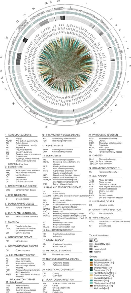 Graphic summary of diseases and disorders associated with alterations to the total microbiota composition at the genus level. Only the 12 most influenced bacterial genera are represented for the sake of clarity. Outer circle represents the reviewed disease categories (numbers from 1 to 28, see the legend), followed by a green circle of subcategories within main types of disorder, identifiable by a letter code included in the legend. Next circle shaded in grey represents the type of microbiota to which each genus belongs (see colour code in legend). Links among the different taxa associated with different disease types are depicted in the inner circle (see the legend for colour guide). A three letter code (see legend) next to each link has been included for the sake of clarity.