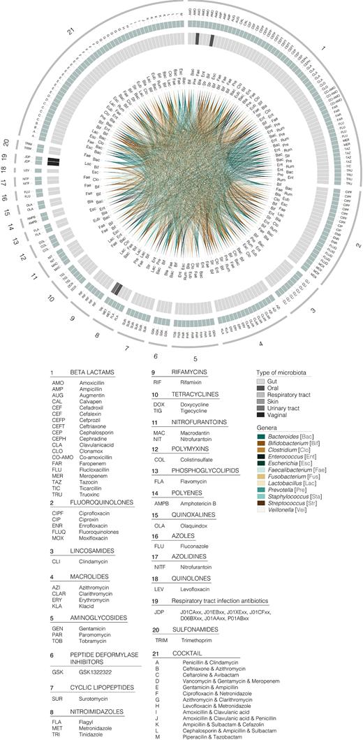 Graphic summary of antibiotics associated with alterations in the total microbiota, considering the top 12 most influenced bacterial genera. Numbers in the outer circle (1 to 21) represent the different factors reviewed. The next green circle represents subcategories within each factor considered, identifiable by a letter code included in the legend. The following circle shaded in grey represents the type of microbiota to which the genera belonged (see the legend for colour guide). Inner circle shows links among genera influenced by the diverse factors (see the legend for colours). As in Fig. 1, a three letter code is included next to link for clarity.