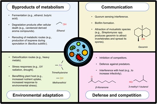 Functions of microbial volatile organic compounds.