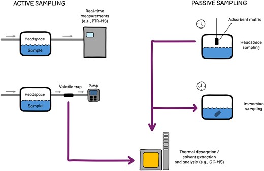Different methods to sample MVOCs. During active sampling, air is flushed at constant rate over the sample for online analysis of MVOCs using, e.g. PTR-MS, or for trapping of MVOCs on an absorbent material before analysis using, e.g. GC–MS. During passive sampling, an absorbent material in the headspace or submerged in the liquid phase of the sample collects MVOCs during a defined time span.