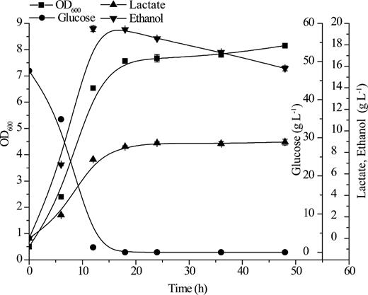 The glucose fermentation performance of S. cerevisiae (pRACTH–ldhL) for L-lactate production. OD600 (square), glucose (circle), L-lactate (upward triangle), ethanol (downward triangle). All error bars indicate ±SD, n = 3.