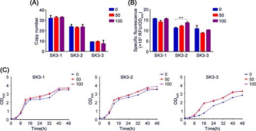 Integration stability analysis of EGFP expression strains. Copy number, EGFP-specific fluorescence and growth curve analysis of 0 (primary strains), 50 (strains after 50 generations) and 100 (strains after 100 generations) strains were evaluated. ‘*’ indicates statistically significant differences between primary strains and strains after serial subculture (n = 3, *P < 0.05, **P < 0.01, Student's t test).