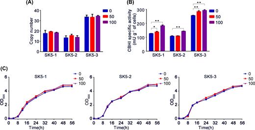 Integration stability analysis of CBHI expression strains. Copy number, CBHI-specific activities and growth curve analysis of 0 (primary strains), 50 (strains after 50 generations) and 100 (strains after 100 generations) strains were evaluated. ‘*’ indicates statistically significant differences between primary strains and strains after serial subculture (n = 3, *P < 0.05, **P < 0.01, Student's t test).