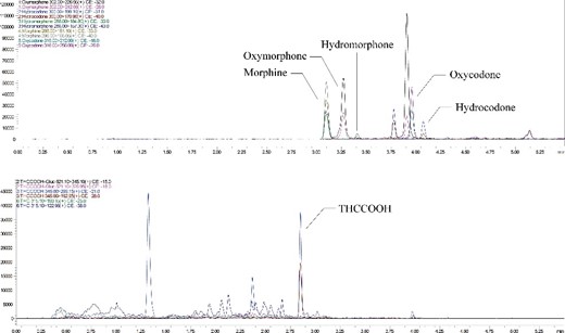 Multiple reaction monitoring chromatograms of an authentic wastewater sample from Tallman Island Wastewater Treatment Plant (Queens, NYC) showing positive results for THCCOOH (184.1 ng/L), morphine (181.9 ng/L), hydromorphone (10.0 ng/L), oxymorphone (56.8 ng/L), oxycodone (63.3 ng/L) and hydrocodone (10.3 ng/L).
