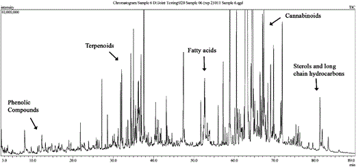 An example of a total ion chromatogram (TIC) of the total particulate matter (TPM) collected from five cannabis joints of a single cannabis sample (12.2% C THC).