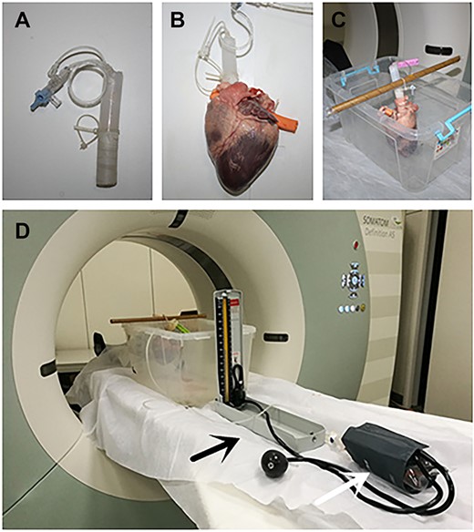 The angiography device. (A) Self-modified design of the three-way valve. (B) Self-modified design of the three-way valve connected to the aorta. (C) The heart was placed on the fixing device. (D) Self-modified design of three-way valve was connected to the sphygmomanometer. The black arrow indicates the sphygmomanometer; the white arrow indicates that a plastic bag of contrast agent is wrapped in the cuff.