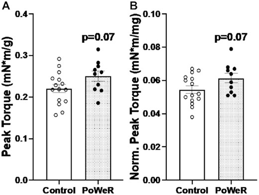 Improvements in plantar flexion peak torque following PoWeR. (A) Isometric peak tetanic torque of plantar flexors normalized to body weight. (B) Isometric peak tetanic torque of plantar flexors normalized to combined plantar flexor wet muscle weights. Open bars = control mice, dotted bars = PoWeR mice. Error bars represent SEM. N = 10–15 per group.