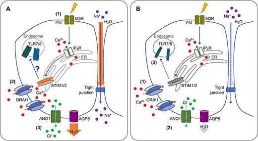 Graphical Abstract