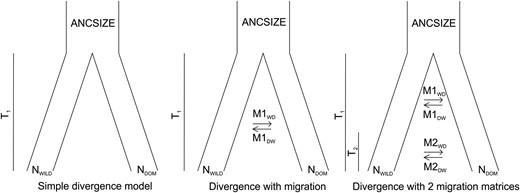 Demographic histories of goose domestication as tested with fastsimcoal2.