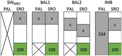 The four scenarios of CVs to evaluate the prediction accuracy in Santa Rosa (SRO). The first scenario (SINSRO) uses phenotypic information from a single site, whereas the three others include Palmira (PAL) phenotypes in two-site models. In the latter case, the level of information between locations is either balanced (BAL) or imbalanced (IMB). The gray area represents the genotypes included in the training set with a varying size “s” to calibrate the model and the green area represents the validation set fixed to 100 genotypes.