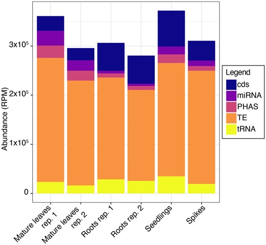 Abundance of sRNAs in Ae. tauschii tissues. Blue, purple, orange, ochre, and yellow represent sRNAs derived from CDS, miRNAs, phasiRNAs, TE-derived sRNAs, and tRNA-derived sRNAs, respectively.