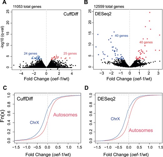 oef-1 mutants display few changes in transcript abundance but a global decrease in X-linked expression. (A,B) Volcano plots showing fold change of gene expression in oef-1(vr25) mutants (x-axis) compared to wild type relative to log10 of q-value (y-axis) using either CuffDiff (A) or DESeq2 (B) programs. Blue dots show significantly downregulated genes, and red indicates significantly upregulated; cases with q-value <0.05 (CuffDiff) and padj <0.05 (DESeq2) were counted as significant. Data are from the combined analysis of three biological replicates. (C, D) Cumulative plot showing the distribution of gene expression changes for X-linked (blue) and autosomal (red) transcripts in oef-1(vr25) dissected gonads relative to wild-type from the CuffDiff analysis (C, N = 1921 X-linked genes, 12,270 autosomal genes) and DESeq2 analysis (D, N = 1565 X-linked genes, 10,994 autosomal genes). Only genes with a log2 change of less than 1.5-fold or more than −1.5-fold are shown. Data are from the combined analysis of three biological replicates. P < 2.2e−16, Wilcoxon test.