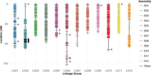 Final linkage map. Markers from each of the 12 main physical scaffolds are color-coded. Markers from smaller unintegrated contigs are colored in black and highlighted with asterisks. Genetic distance was calculated using the Haldane mapping function.