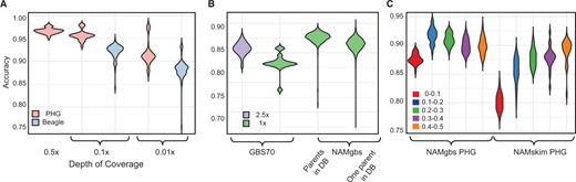 The accuracy of imputation using the Wheat PHG. (A) The impact of sequence coverage and the method of imputation on accuracy for DS75. (B) Accuracy of imputation using GBS sequencing at different coverage levels and different database haplotype representation. (C) Accuracy of imputation for alleles with different minor allele frequency for matched samples using GBS and skim-sequencing, n = 24.