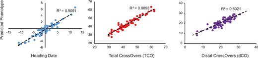 Relationship between the true and predicted phenotypes. Significant markers were identified by stepwise regression on heading date, total number of crossovers per line (TCO), and total number of distal crossovers per line (dCO) phenotypes.