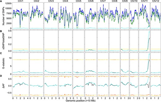 BSA-Seq data analysis using both the parental and bulk genome sequences or the bulk genome sequences alone in rice. The red lines/curves are the thresholds using both the parental and bulk genome sequences, while the yellow lines/curves are the thresholds using only the bulk genome sequences. The black curves represent the number of sSNPs (A), sSNP/totalSNP ratios (B), G-statistic values (C), or ΔAF values (D) using the genome sequence of both the parents and bulks. Whereas the cyan curves represent the number of sSNPs (A), sSNP/totalSNP ratios (B), G-statistic values (C), or ΔAF values (D) using only the bulk genome sequences. (A) Genomic distributions of sSNPs and total SNPs. Blue curves: total SNPs using genome sequences of both the parents and bulks; green curves: total SNPs using only the bulk genome sequences. (B) Genomic distributions of sSNP/totalSNP ratios. (C) Genomic distributions of G-statistic values. (D) Genomic distributions of ΔAF values. Note: due to the value similarity, the cyan curves partially masked the black curves in some genomic regions. The same is true for the yellow lines/curves and the red lines/curves.