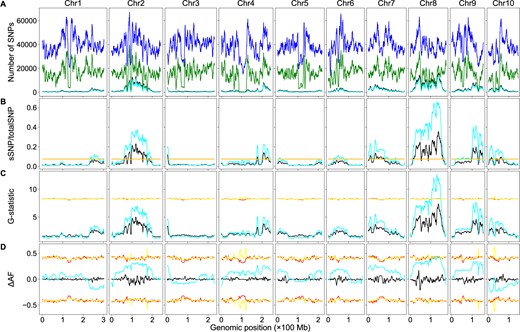 BSA-Seq data analysis using both the parental and bulk genome sequences or the bulk genome sequences alone in maize. The color codes are the same as in Figure 2. (A) Genomic distributions of sSNPs and total SNPs. (B) Genomic distributions of sSNP/totalSNP ratios. (C) Genomic distributions of G-statistic values. (D) Genomic distributions of ΔAF values.