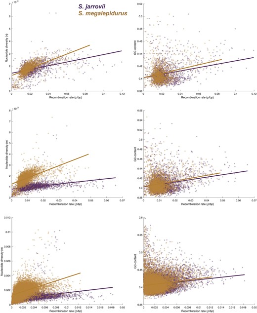 Relationship between genome-wide recombination rate with nucleotide diversity and GC-content. Relationship between genome-wide recombination rate with nucleotide diversity (left) and GC-content (right) in S. jarrovii (purple) and S. megalepidurus (orange) at the 1 Mb- (top), 500 kb- (middle), and 100 kb- (bottom) scale.