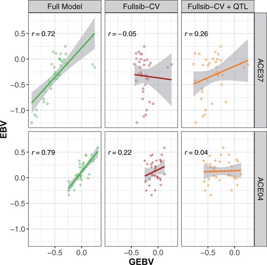 Prediction abilities for tree height (m) of two families segregating for the significant SNP PitaSNP287174 marker on linkage Group 5 for three scenarios. Left (full model): all ACE genotypes are included in the training model; Center (Fullsib-CV): full-sib families ACE37 or ACE04 are removed from the training model used to predict the specific family; Right (Fullsib-CV+QTL): full-sib families ACE37 or ACE04 are removed from the training model, and GEBV are adjusted with the QTL effect on linkage Group 5.