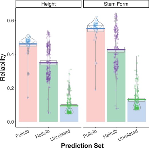 Estimated reliabilities from GBLUP for height (left) and stem form (right) for 451 individual trees. On the X axis, three categories of genotypes are presented: fourth-Cycle trees with full-sib relatives in the ACE training population, fourth-Cycle trees with half-sib relatives in the ACE training population, and fourth-Cycle trees without direct relatives in the ACE training population.
