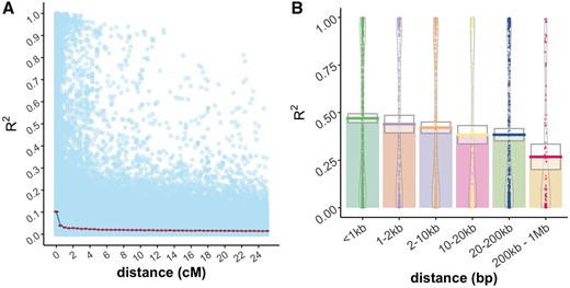 (A) Decay of linkage disequilibrium (R2) is shown relative to genetic distance (cM). The decay function is the mean for all pairs of markers with a genetic distance equal to or less than the value on the X axis. Pale blue dots in the background are marker pairwise R2 values. (B) LD decay is shown relative to physical distance for pairs of markers mapped to the same contigs of the Pita v.2.01 reference genome.