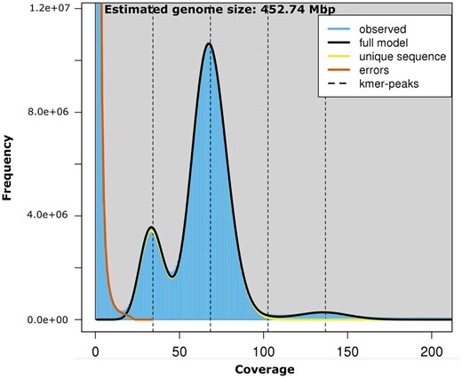 A K-mer (K = 21) distribution based on the high coverage HiFi reads as modeled and visualized by genomescope. The first and second dotted lines correspond to the peak of the heterozygous and homozygous portion of the genome, respectively. The third and fourth dotted lines correspond to the duplicated heterozygous and homozygous regions, respectively.