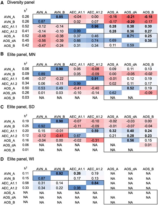 Phenotypic and genetic correlation of specialized metabolites in oat seed (avenanthramides, “AVN”; avenacins, “AEC”; avenacosides, “AOS”) in (A) diverse panel evaluated only in New York, and elite panel evaluated in (B) Minnesota (“MN”), (C) South Dakota (“SD”), (D) Wisconsin (“WI”), United States. The specific type of metabolite is described in Supplementary Table S1. The values in the top diagonal are Pearson’s phenotypic correlations, where bold indicates significance at the Bonferroni cutoff, the values in the bottom diagonal are genetic correlations with no associated statistical values, and h2 is the genomic heritability.