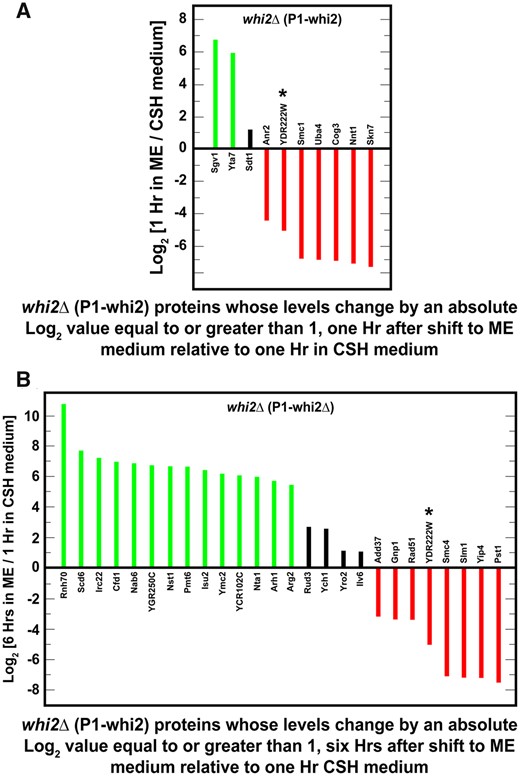 Proteins whose levels changed by absolute log2 values ≥1 (i.e., equal to or greater than twofold) in whi2Δ (P1-whi2) but not wild-type (P1) cells. Cells were cultured for 1 h (A) or 6 h (B) in SCME medium and the results compared with those obtained after cells were cultured for 1 h in SCCSH medium. Prior to the beginning of the experiment, cells were pregrown overnight in SCCSH medium to an A600 nm = 0.35. SGD GO process analyses of the genes in (A) and (B) did not yield any significant results with P-value <0.01.