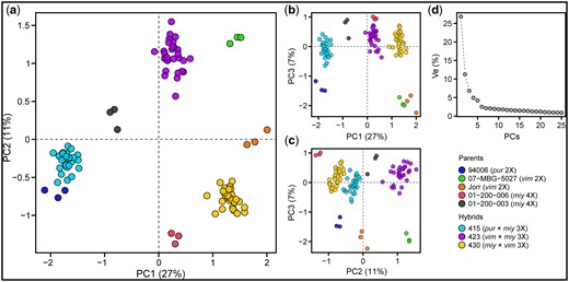 Multidimensional scaling plot of library-normalized transcriptome-wide gene expression of all triploid F1 progeny individuals (families 415, 423, and 430) and their diploid (94006, 07-MBG-5027, and Jorr’) and tetraploid (01-200-006 and 01-200-003) parents. a) PC1 vs PC2, b) PC1 vs PC3, c) PC2 vs PC3, and d) % variance explained (% Ve) by the first 25 PCs. Euclidean distances on the 2-dimensional plot approximate leading log2 fold-changes between samples, using the top 500 genes with the largest standard deviations. Parents and progeny libraries are colored according to the legend.