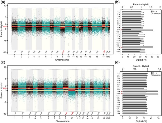 Manhattan plot showing a) chromosome-wide differences of log2 (P2X/P4X) expression (parent‒hybrid) between the family 415 parents (female diploid 94006 and male tetraploid 01-200-003) and the triploid hybrid 12X-415-031. Median parent‒hybrid values are shown above chromosome identifiers (x-axis). The barplot b) depicts the median parent‒hybrid difference (dark gray bars, scale top x-axis) and the % expression in the hybrid attributable to the diploid parent allele (white bars, scale lower x-axis) by chromosome (y-axis). The Manhattan plot in panel c) and barplot in panel (d), represent the same analyses, but between the family 423 parents (female diploid 07-MBG-5027 and male tetraploid 01-200-003) and the triploid hybrid 12X-423-070. Red text on x-axes in panels a) and d) correspond to red asterisks on y-axes in panels b) and c), which denote significant differences (Wilcoxon P-value < 1 × 10−16).