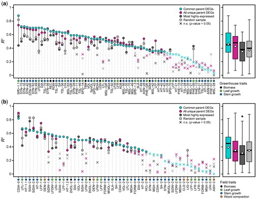 Prediction accuracies (R2) of heterosis values for a) greenhouse and b) field phenotypes (Supplementary Table 7) using selected and random gene expression sets. These 4 gene sets were: differentially expressed genes common among parent pairs (cyan, n = 379), differentially expressed genes in at least 1 parent pair (magenta, n = 4,978), the most highly expressed genes (dark gray, n = 5,000), and a random sampling of genes (light gray, n = 5,000). Boxplots to the right of each panel depict the distribution of prediction accuracies, with means represented as yellow diamond points. Traits are colored according to respective classes described in the lower left legend of each panel.