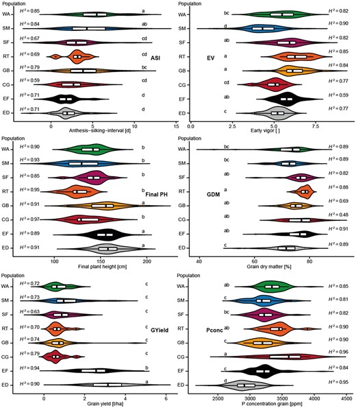 Phenotypic variation in the 8 groups. Groups are abbreviated as WA, SM, SF, RT, GB, CG, EF, and ED. Distribution of the phenotypic trait values for ASI (anthesis-silking-interval), EV (early vigor), Final PH (plant height at harvest), GDM (grain dry matter content), GYield (grain yield), and Pconc (phosphorus concentration in kernels) shown per group. The letter display indicates significant differences of the means; groups with the same letter are not significantly different from each other (α = 0.05). H2 denotes the broad-sense heritability.